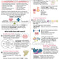 DBT Skills Introduction