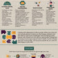 Depression Coping Skills (PDF)