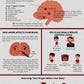 Anger Coping Skills Bundle