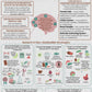 Natural Treatments for ADHD